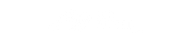 Logo 12